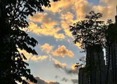 2025上半年，中國企業(yè)出海刷新全球副本：更猛、更強(qiáng)、更聰明